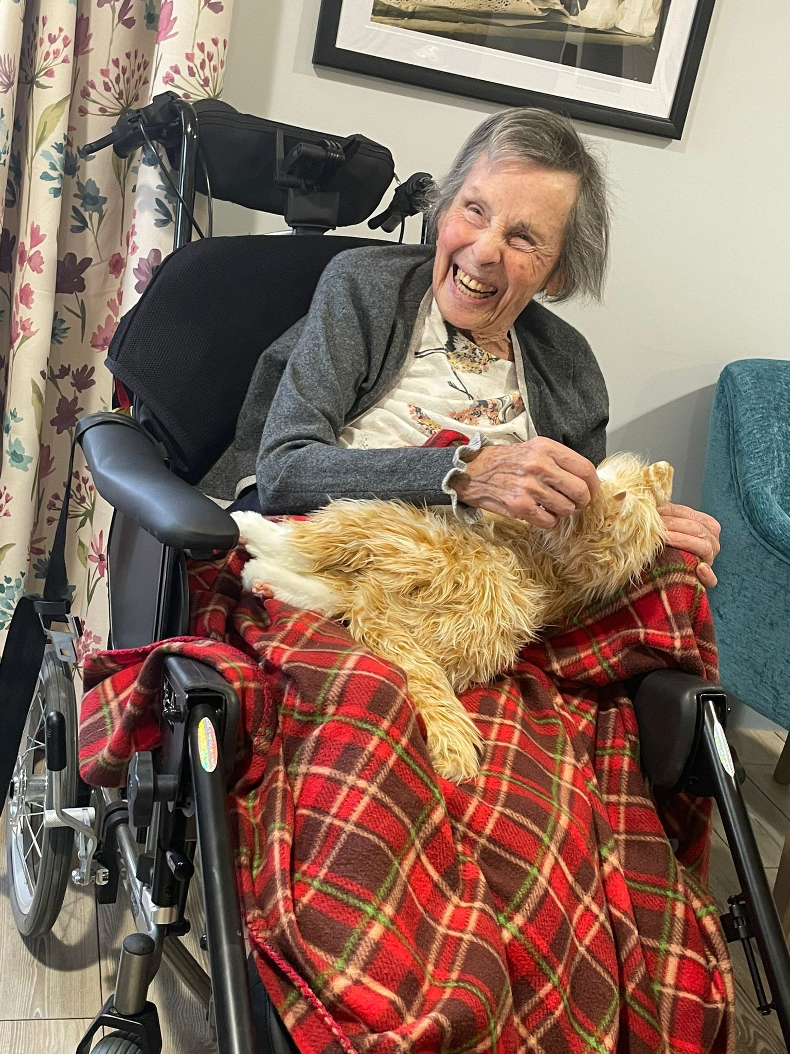 The Puuurfect Companions in our Homes Dormy Care Communities