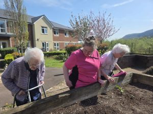 a busy afternoon in the garden